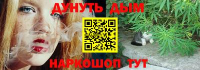 прущие грибы Абинск