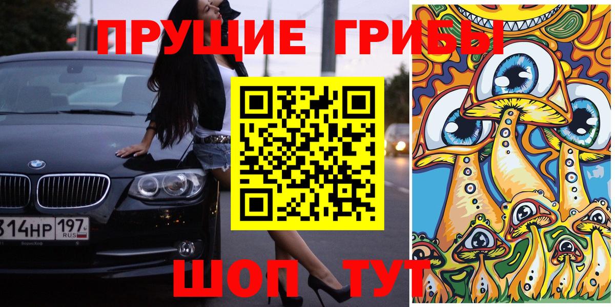 Анжеро-Судженск  Псилоцибиновые грибы Psilocybe  купить   Вход с VPN 