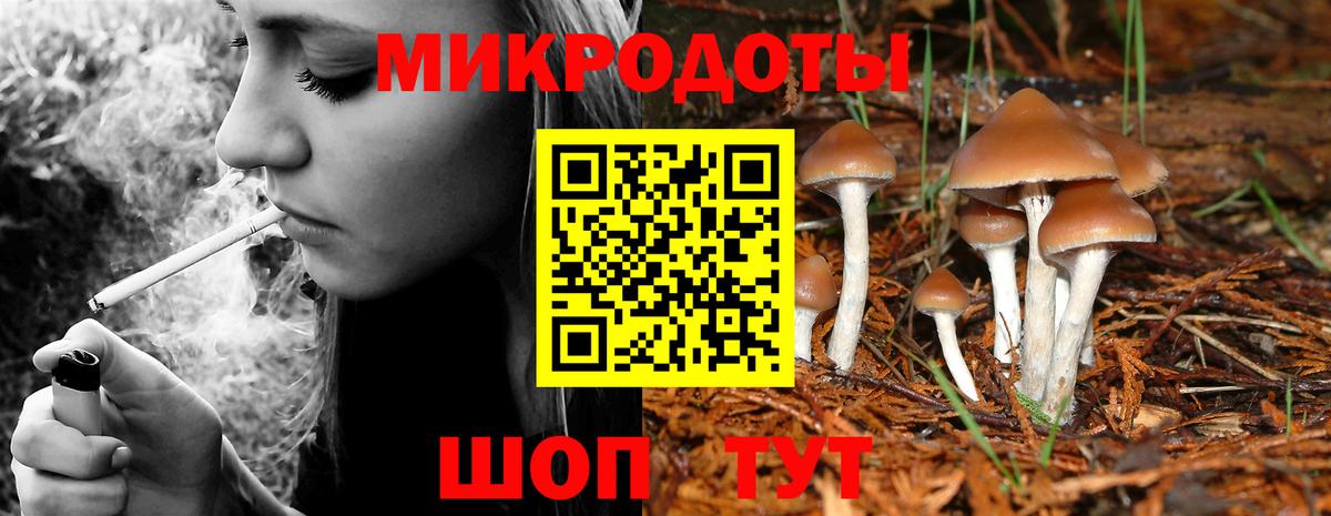 Псилоцибиновые грибы GOLDEN TEACHER Анжеро-Судженск